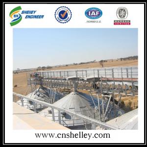 40 - 50t/h paddy rice belt conveyor for grain