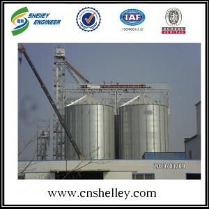 1000t insulated grain storage paddy rice storage silo