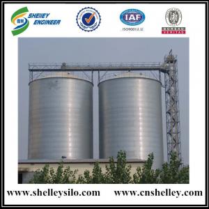 2000t assembly steel flat bottom paddy storage silo